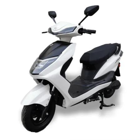 E-Scooter Green Scooter YW
