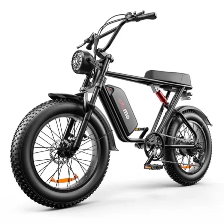 E-fat bike C-91