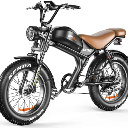 E-fatbike C-93